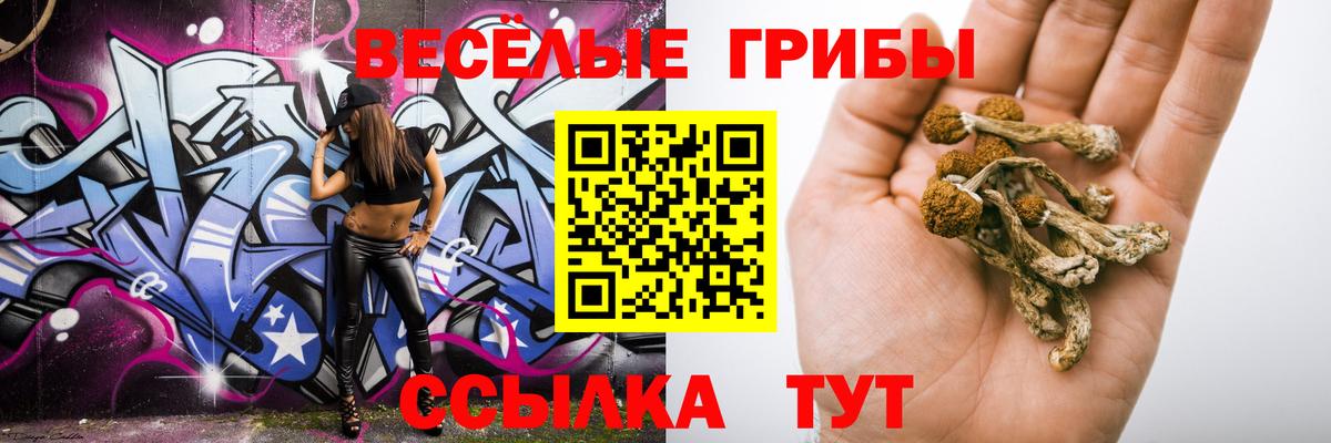 где можно купить наркотик  Вход с VPN  Ливны  Псилоцибиновые грибы GOLDEN TEACHER 